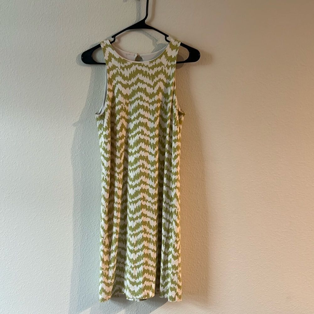 Ann Taylor Chevron Print Dress